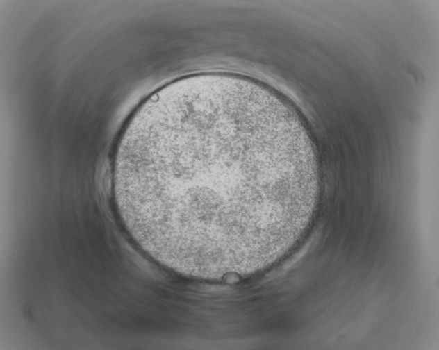 X0000113241509200910221049
