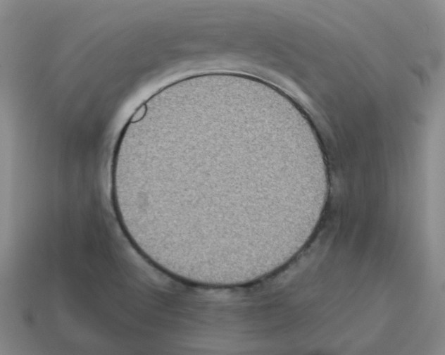 X0000113241512200910221049