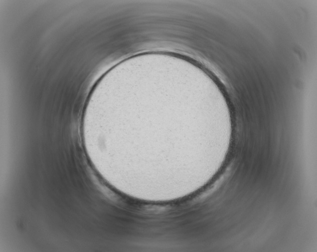 X0000113241513200910221049