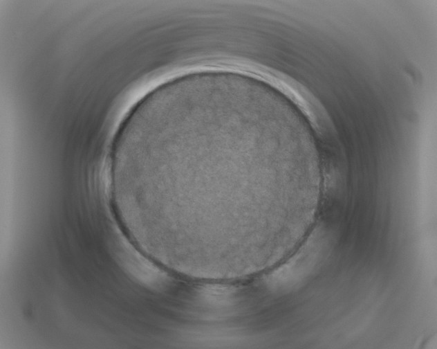 X0000113241514200910221049