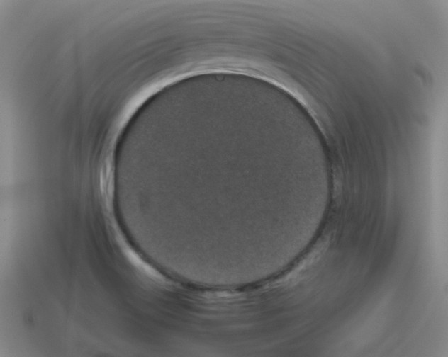 X0000113241515200910221049