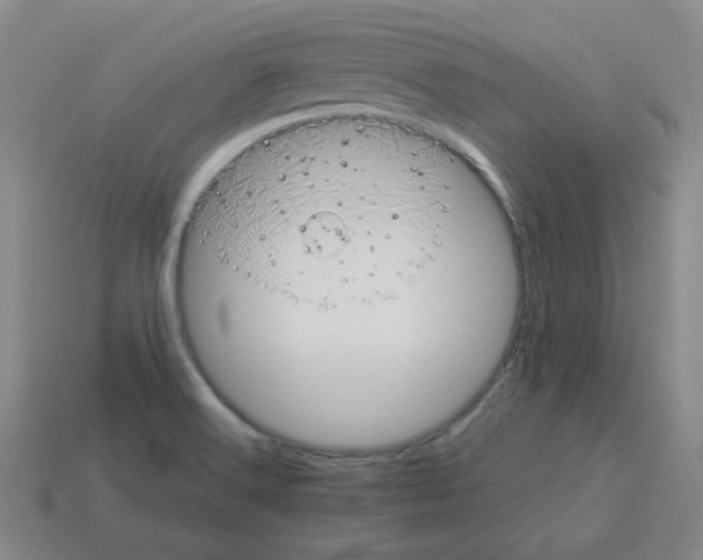X0000113241516200910221049