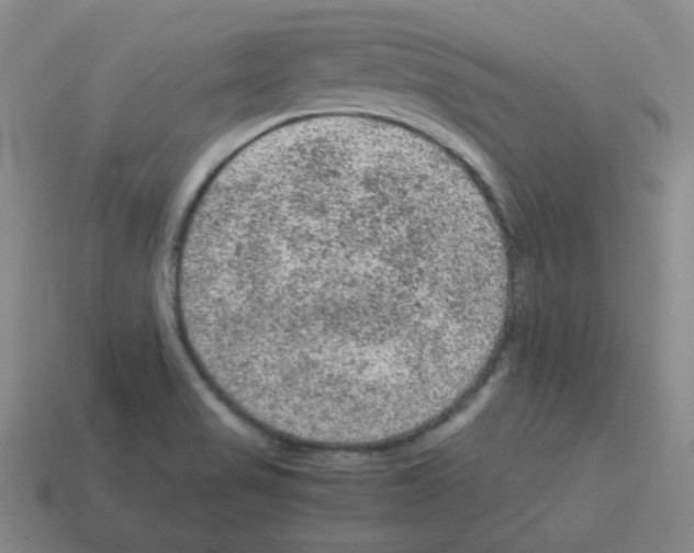 X0000113241517200910221049