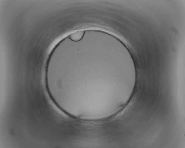 X0000113241518200910221049