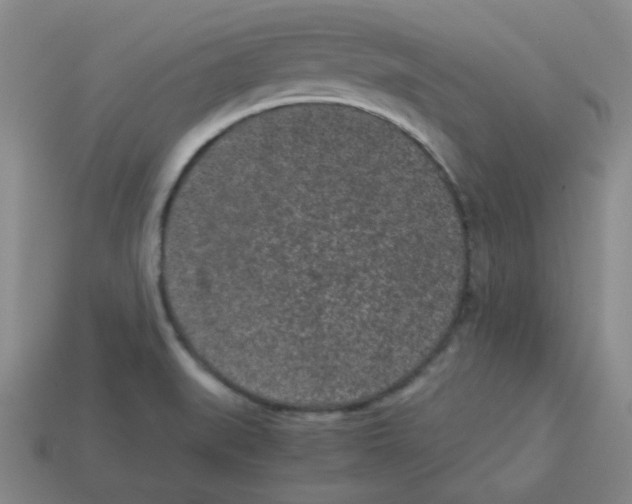 X0000113241519200910221049