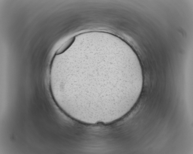 X0000113241520200910221049