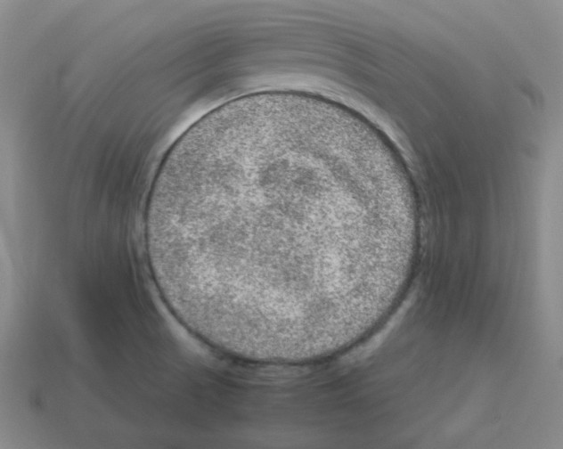 X0000113241521200910221049