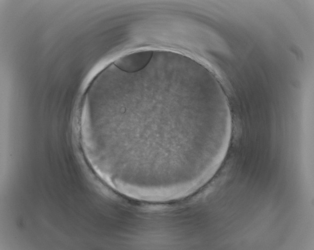 X0000113241522200910221049