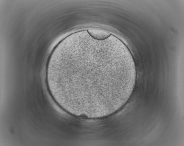 X0000113241523200910221049