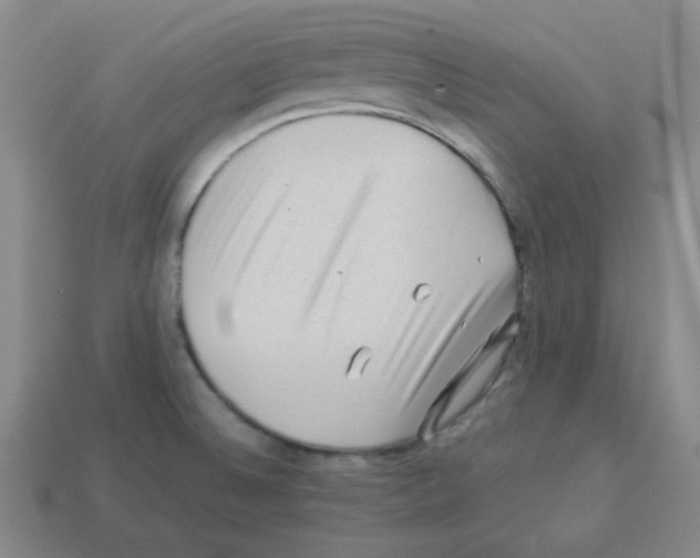 X0000113241524200910221049