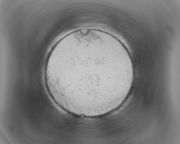 X0000113241525200910221049