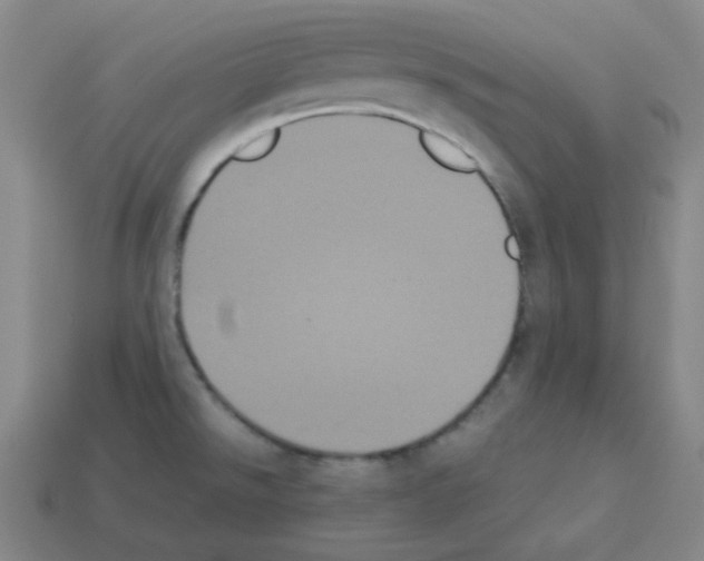 X0000113241526200910221049