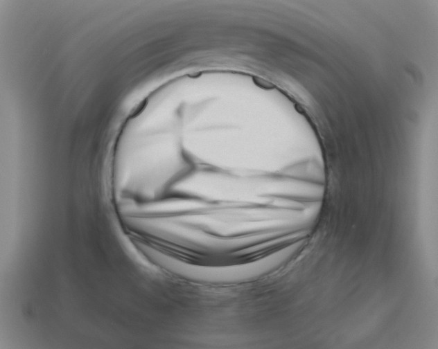 X0000113241528200910221049