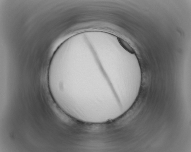 X0000113241530200910221050
