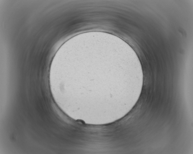 X0000113241532200910221050