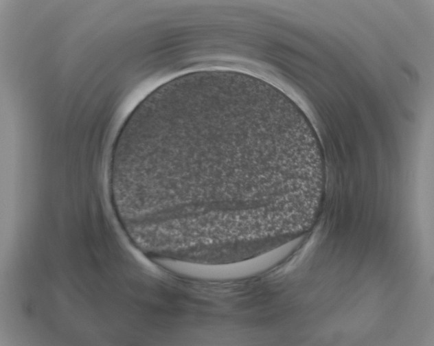 X0000113241533200910221050