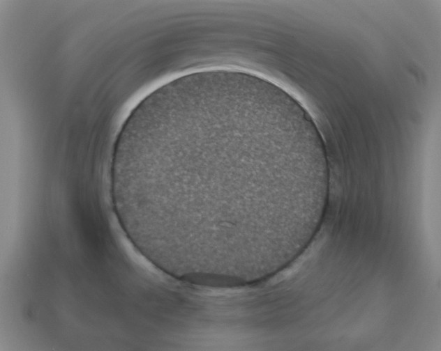 X0000113241534200910221050