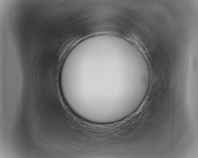 X0000113250001200909100952