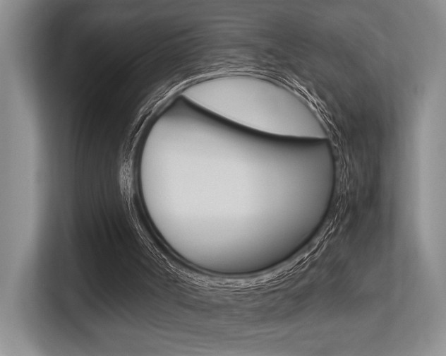 X0000113250002200909100952
