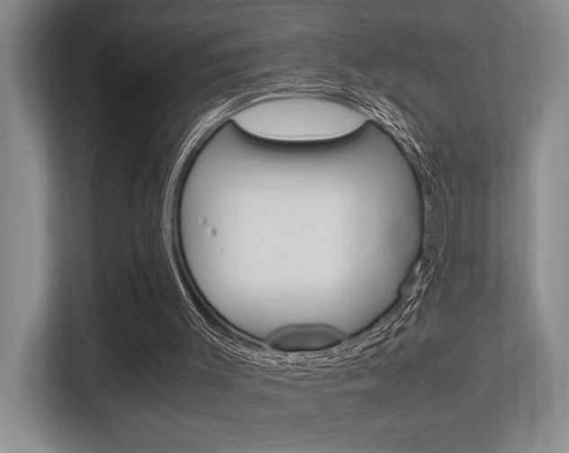 X0000113250003200909100952