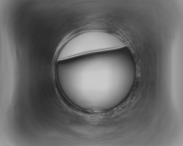 X0000113250004200909100952
