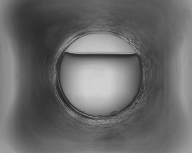X0000113250005200909100952