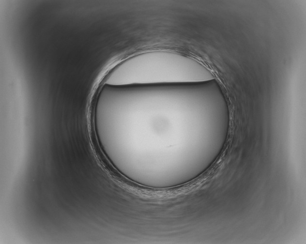 X0000113250006200909100952