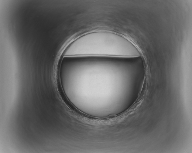 X0000113250007200909100952