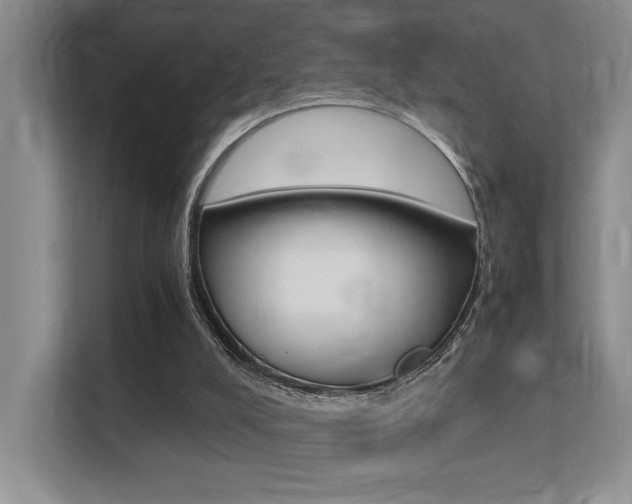 X0000113250008200909100952