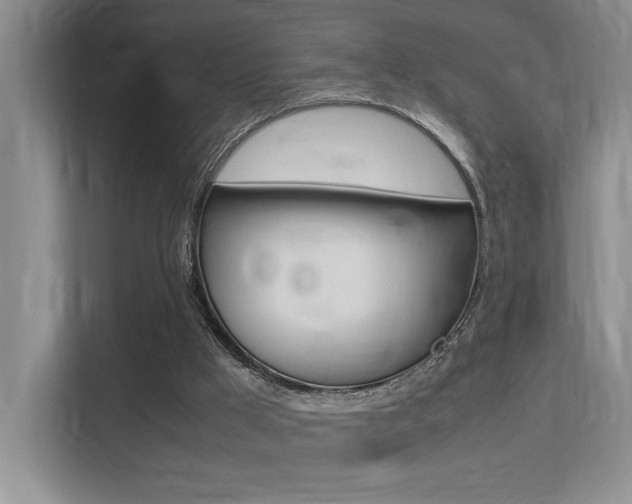 X0000113250009200909100952