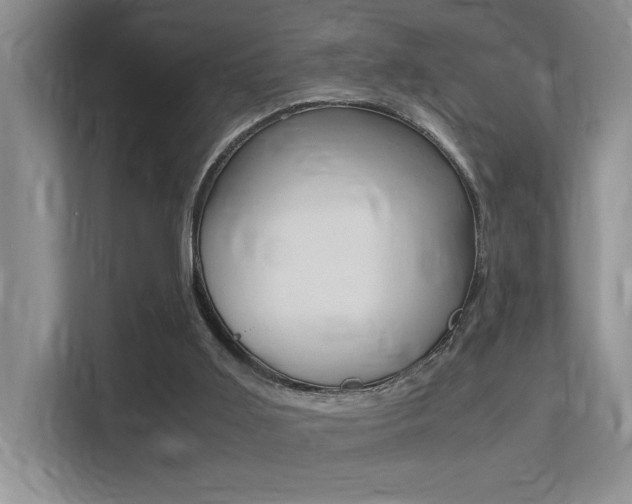 X0000113250011200909100952