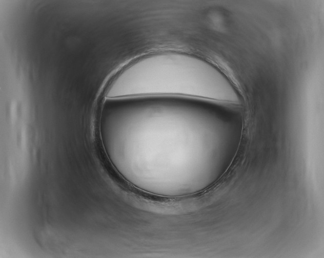 X0000113250012200909100952