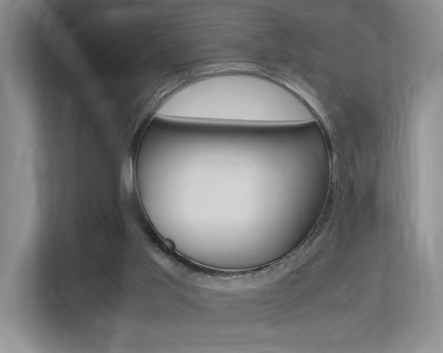 X0000113250013200909100952