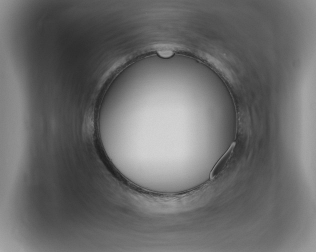 X0000113250015200909100952