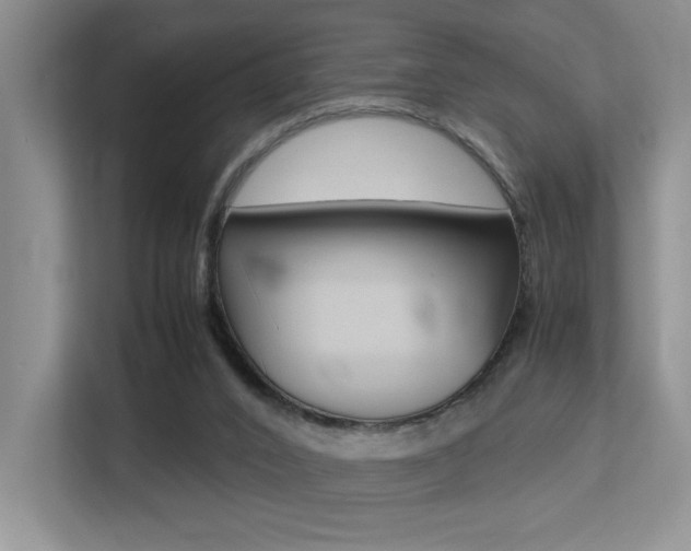 X0000113250016200909100952