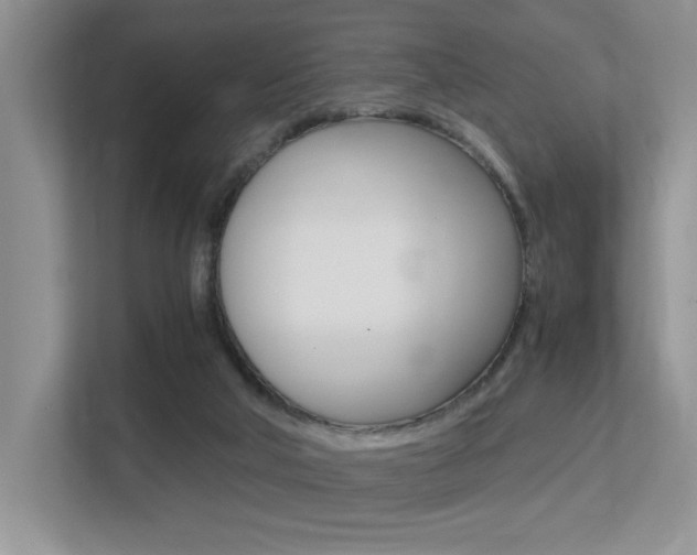 X0000113250018200909100952
