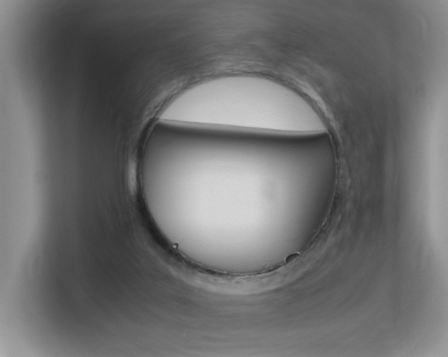 X0000113250019200909100952