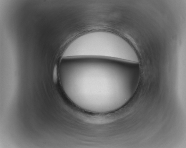 X0000113250020200909100952