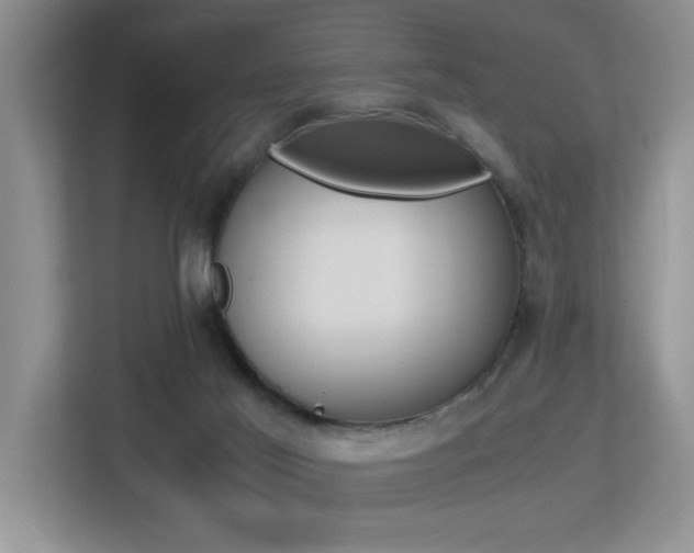 X0000113250021200909100952