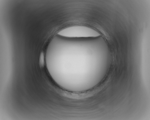 X0000113250022200909100952