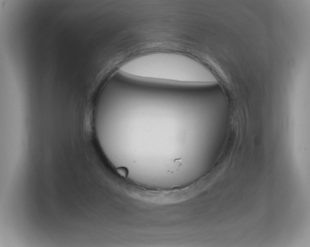 X0000113250023200909100952