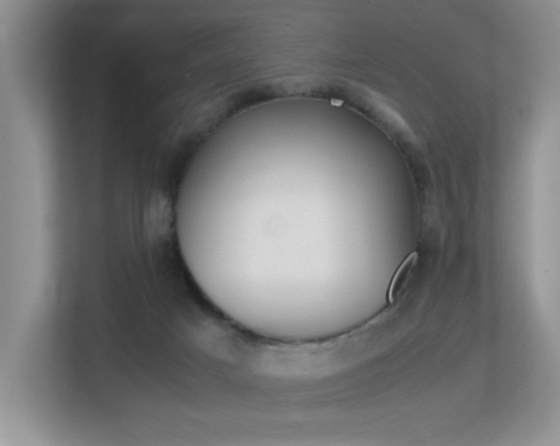 X0000113250025200909100952