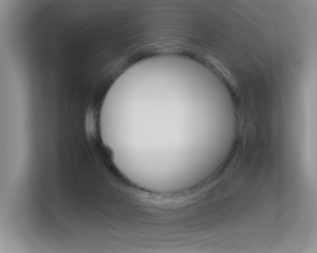 X0000113250026200909100952