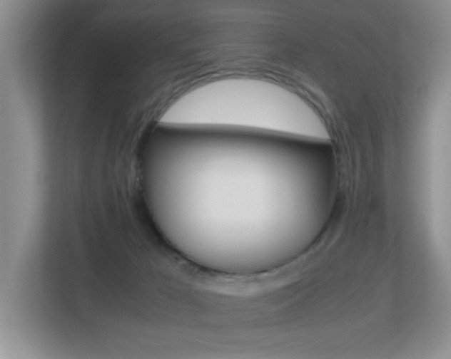 X0000113250029200909100952