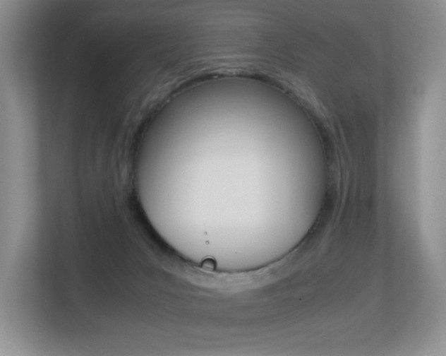 X0000113250031200909100952