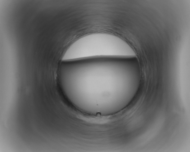 X0000113250032200909100952