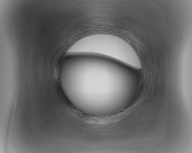 X0000113250033200909100951