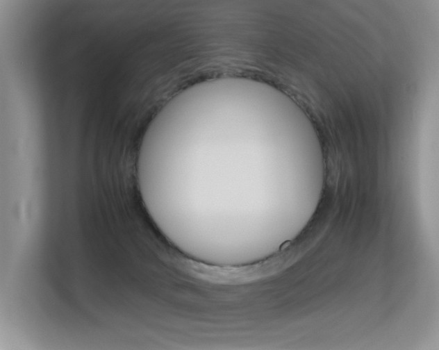 X0000113250034200909100951