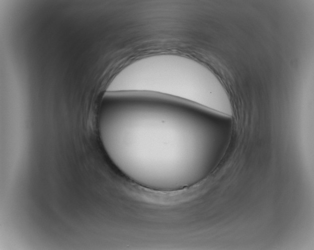 X0000113250035200909100951