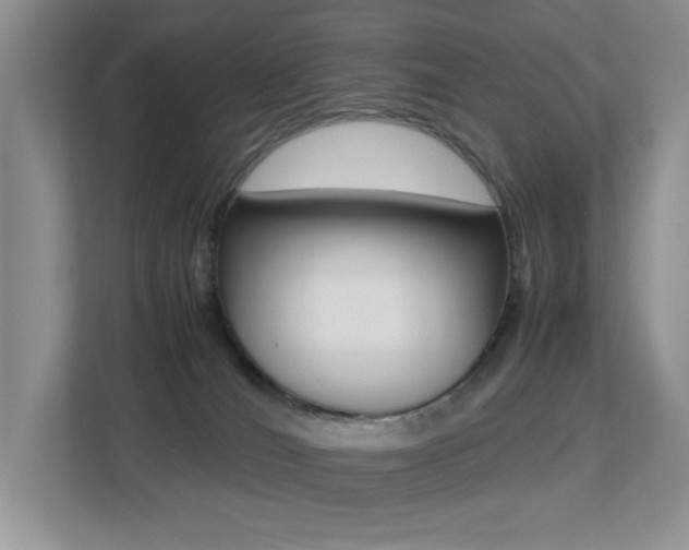 X0000113250036200909100951